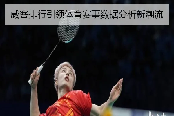 威客排行引领体育赛事数据分析新潮流